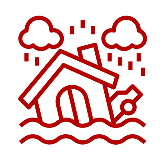 Responding to Disasters